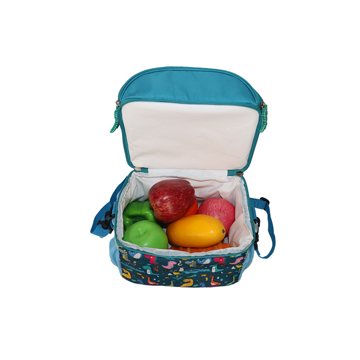 kids lunch box bag.jpg